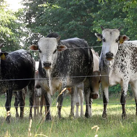 Appartamento Komfortable 